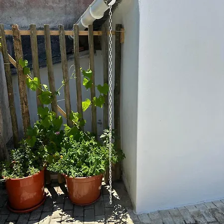Casa Cores *